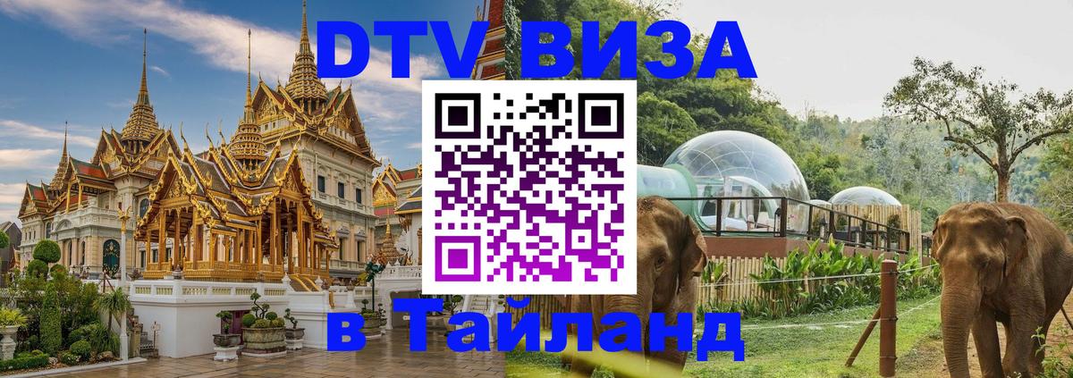 Цены на DTV визу в Таиланд — пакеты услуг, достаточно даже паспорта - Амстердам  19.11.2025 